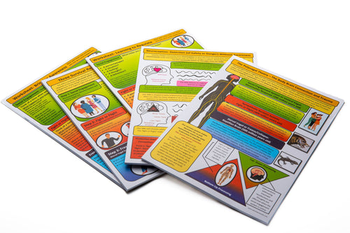 Polyvagal Theory and Trauma Bundle