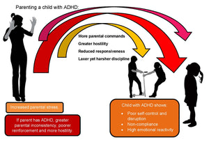 ADHD Bundle Pack Part 1 and Part 2 - Instant PDF Download