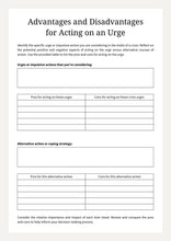 Load image into Gallery viewer, DBT Distress Tolerance Workbook