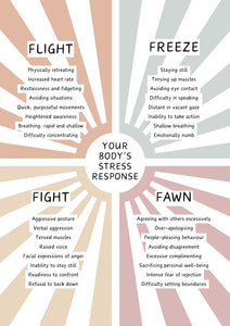 The Stress Workbook Bundle