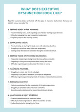 Load image into Gallery viewer, Executive Function Workbook