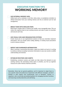 Executive Function Workbook