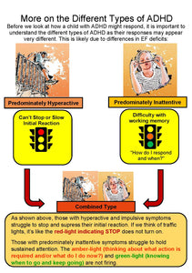 ADHD Bundle Pack Part 1 and Part 2 - Instant PDF Download