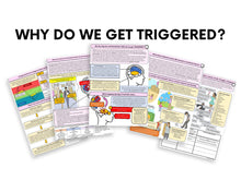 Load image into Gallery viewer, Why do we get triggered? PDF Version