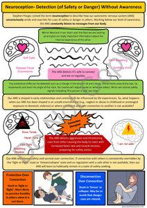 Polyvagal Theory and Trauma Bundle - PDF Version