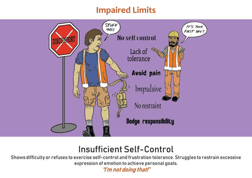 Schema Therapy Tool Kit Part 1 Page 60