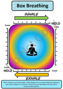 Box Breathing Guide