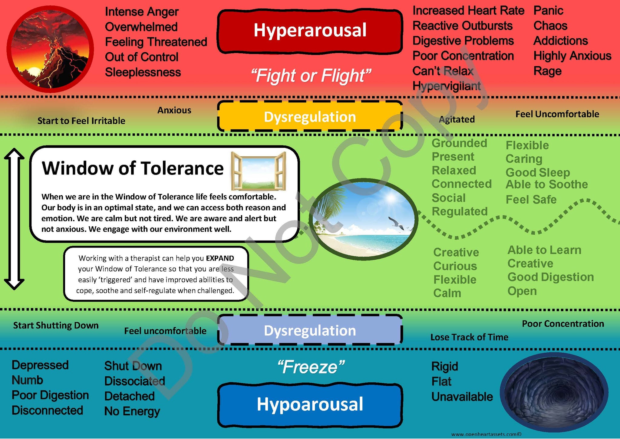 Window of Tolerance Handout Bundle - PDF Version | Based on clinically ...