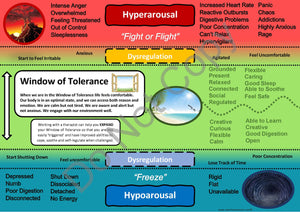 Window of Tolerance Handout Bundle - PDF Version