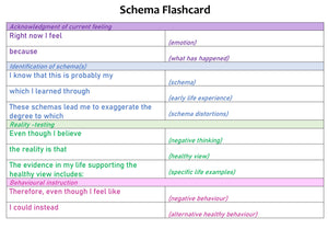 Schema Therapy Tool Kit - Part 2 Instant PDF Download