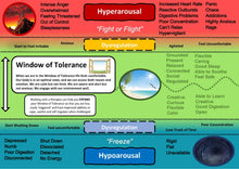 Load image into Gallery viewer, Window of Tolerance Handout Bundle - PDF Version