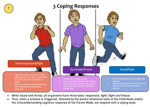 Schema Therapy Tool Kit