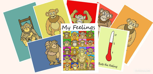 ONLINE RESOURCE: My Feelings - Cue Cards