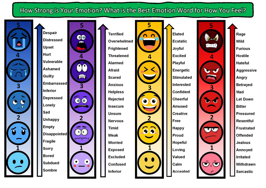 Understanding Emotions Handout | Based on clinically validated ...