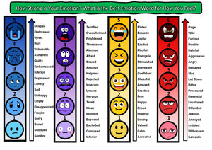 Understanding Emotions Handout