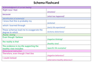 Schema Therapy Tool Kit
